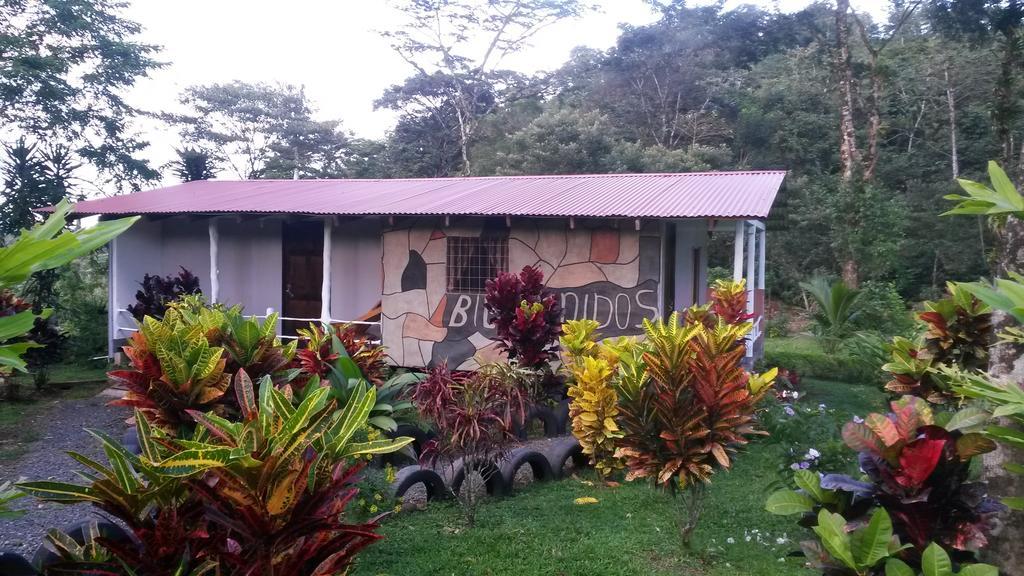 Nacientes Lodge บิฆากัว ภายนอก รูปภาพ